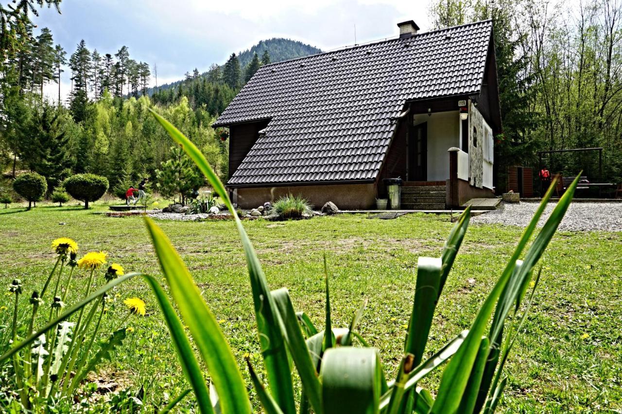 Lodge Bacova Skala Liptovsky Jan