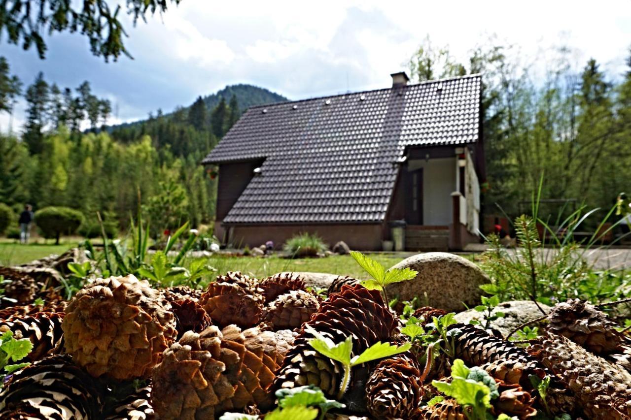 Bacova Skala Lodge