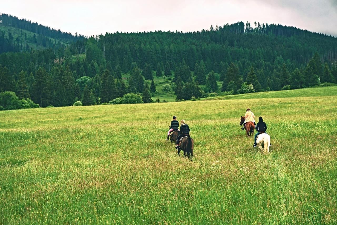 Lodge Bacova Skala *